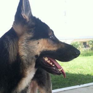 Meet your Posher, Kobe